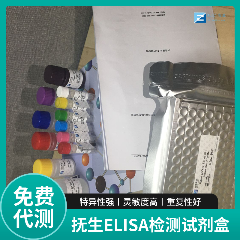 人癌胚抗原(CEA)ELISA试剂盒