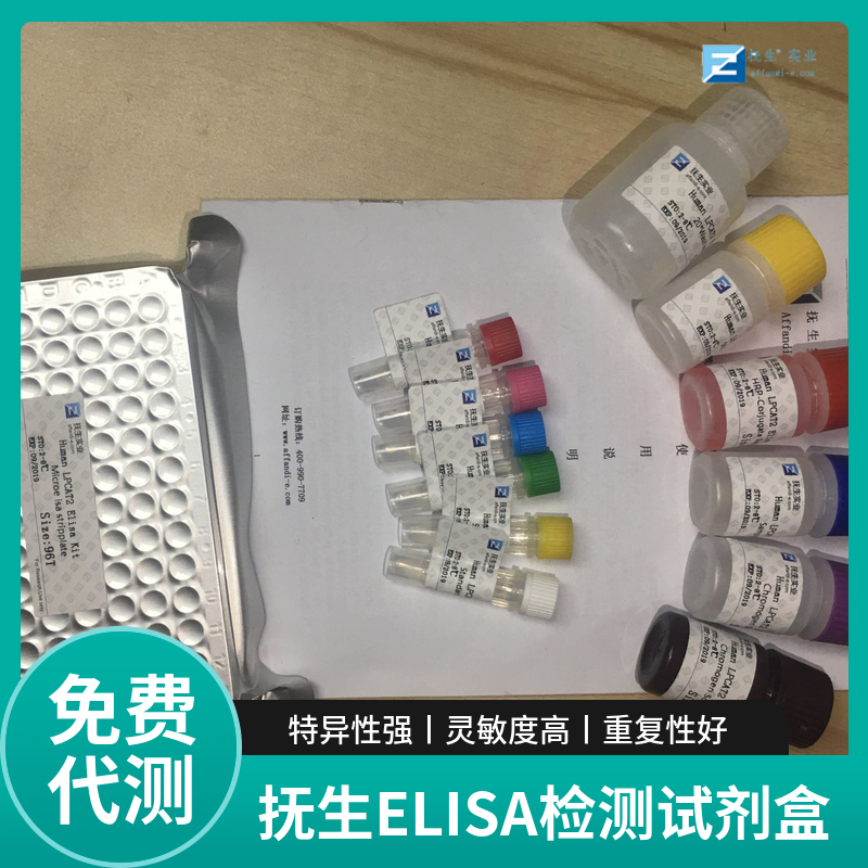 人爱帕琳肽13(AP13)ELISA试剂盒
