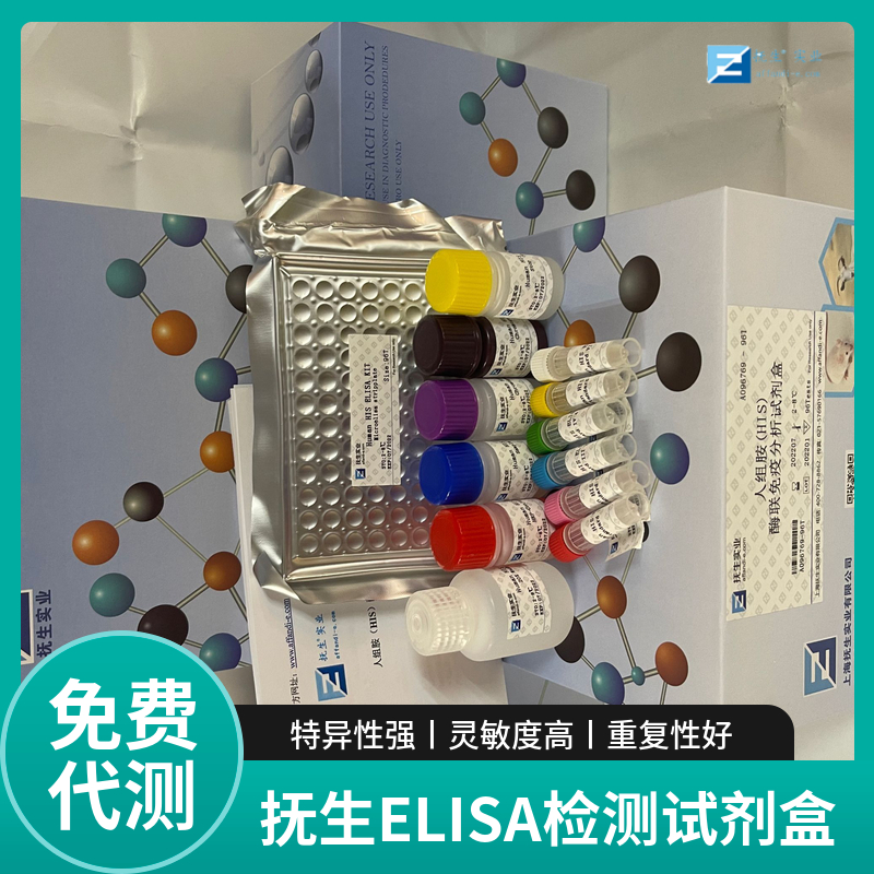 人白介素23(IL-23)ELISA试剂盒