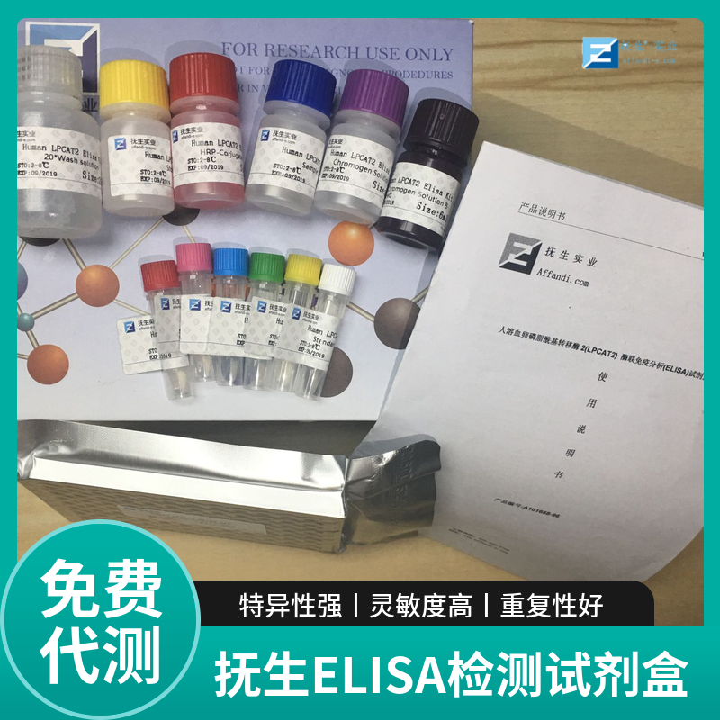 人白介素7(IL-7)ELISA试剂盒