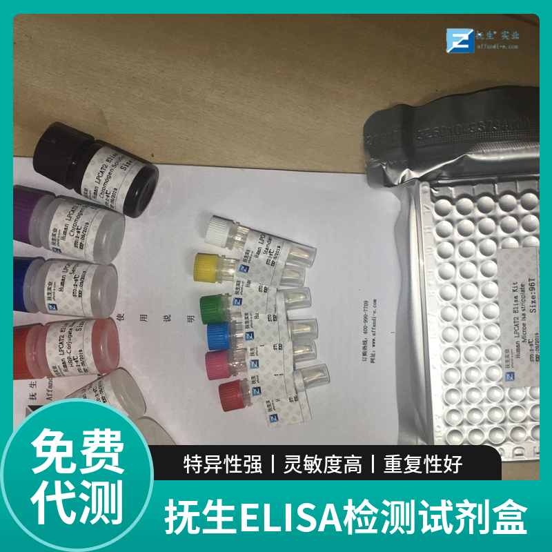 人白细胞分化抗原CD4(CD4)ELISA试剂盒