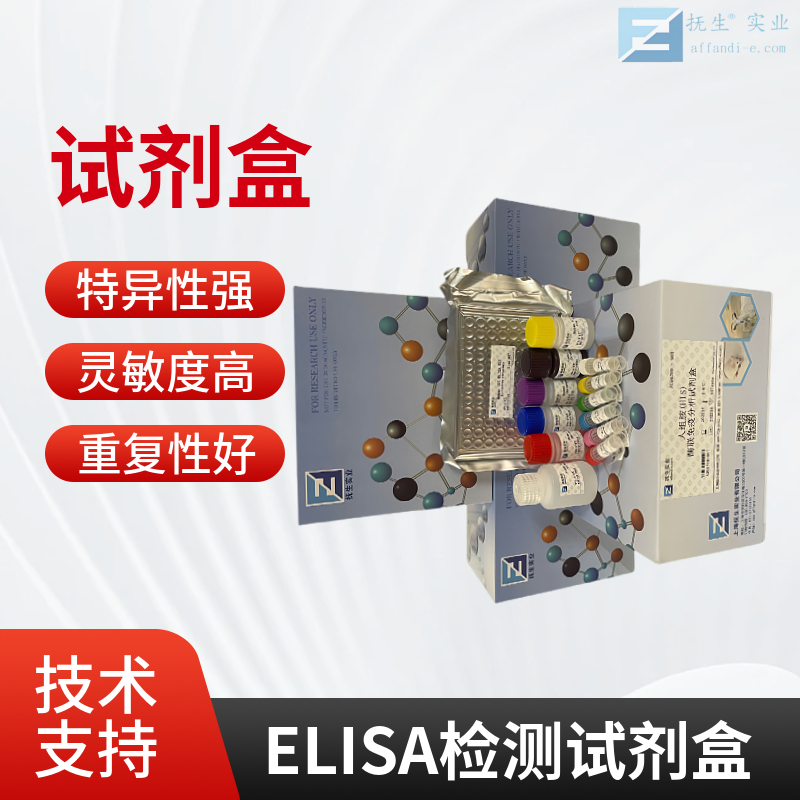 人苄氯素1(BECN1)ELISA试剂盒
