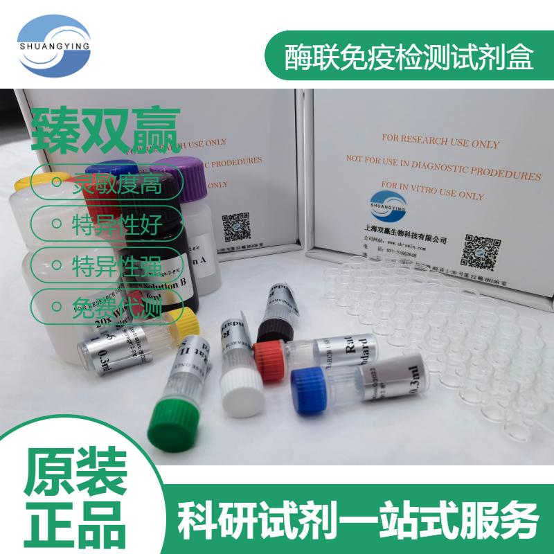 小鼠Phospho (637)-DRP1(637-DRP1)ELISA试剂盒