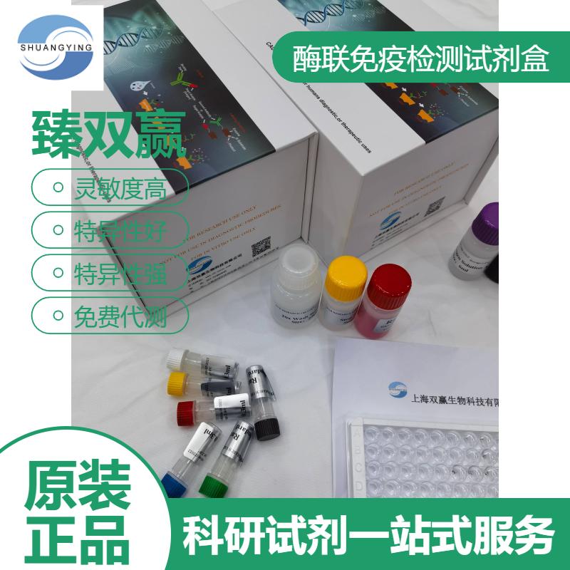 小鼠白细胞介素17F(IL-17F)ELISA试剂盒