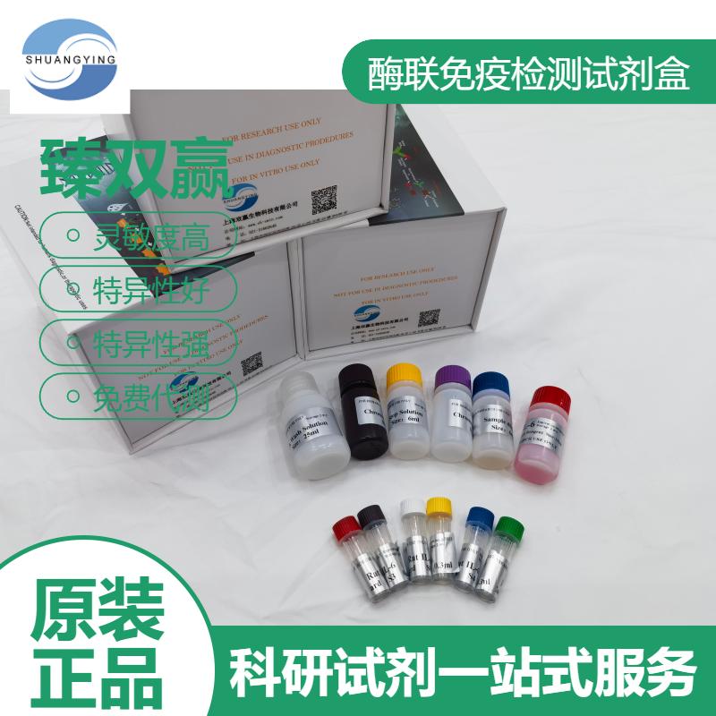 小鼠肺表面活性物质相关蛋白C(SP-C)ELISA试剂盒