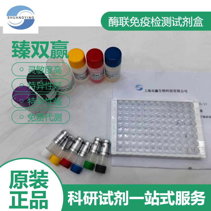 小鼠肺表面活性物质相关蛋白C(SP-C)ELISA试剂盒