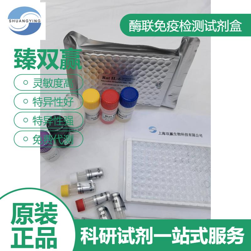 小鼠钙蛋白酶(Calpain)ELISA试剂盒