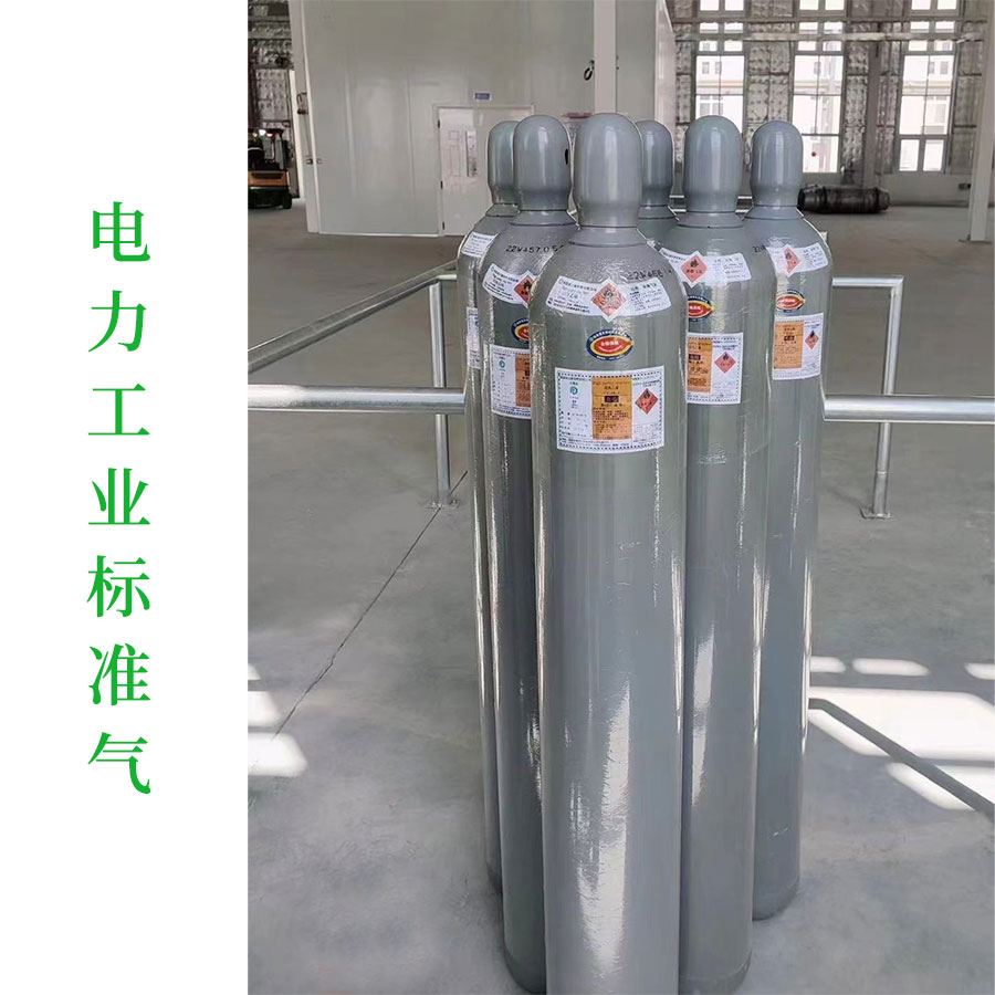 电力工业标准气，按需混合气体，多种规格包装，买气体找尚澜气体
