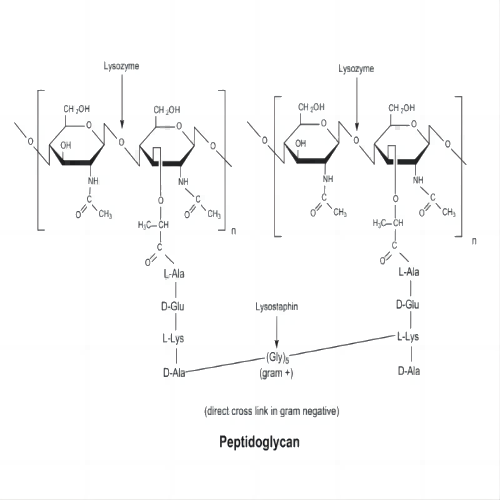 aladdin 阿拉丁 L105521 溶菌酶 来源于鸡蛋白 12650-88-3 EnzymoPure?, ≥20，000U/mg