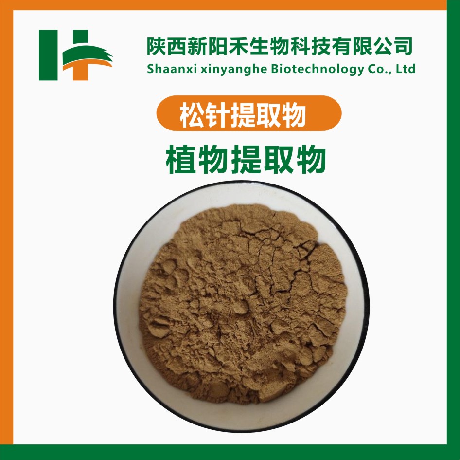 松针提取物 松针粉
