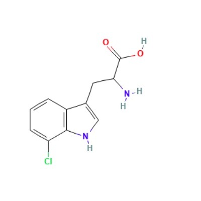 aladdin 阿拉丁 C698607 7-氯色氨酸 153-97-9 ≥95%