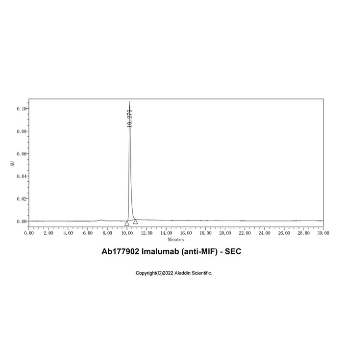 aladdin 阿拉丁 Ab177902 Imalumab (anti-MIF) 1430205-07-4 无载体, 重组, ExactAb?, 低内毒素, 无叠氮钠, 已验证, 无动物源, ≥95%(SDS-PAGE&SEC-HPLC), 见COA