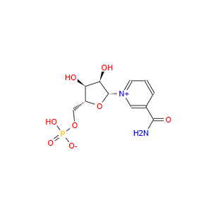 β-烟酰胺单核苷酸