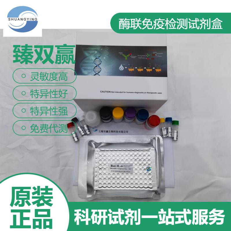 兔催产素受体(OXTR)ELISA试剂盒