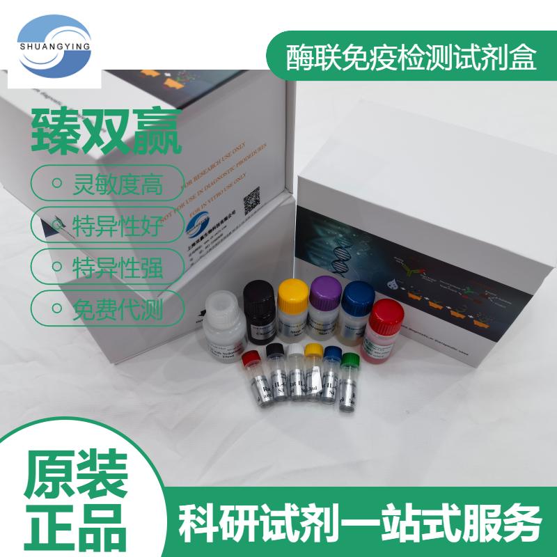 兔胆固醇酯(CE)ELISA试剂盒