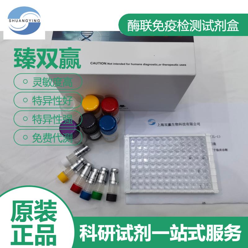 兔蛋白激酶A(PKA)ELISA试剂盒