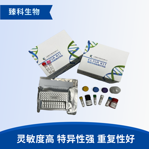 猴子瘦素(LEP）ELISA试剂盒