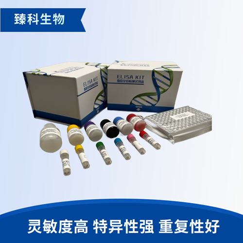 猴子分泌型免疫球蛋白A(sIgA）ELISA试剂盒