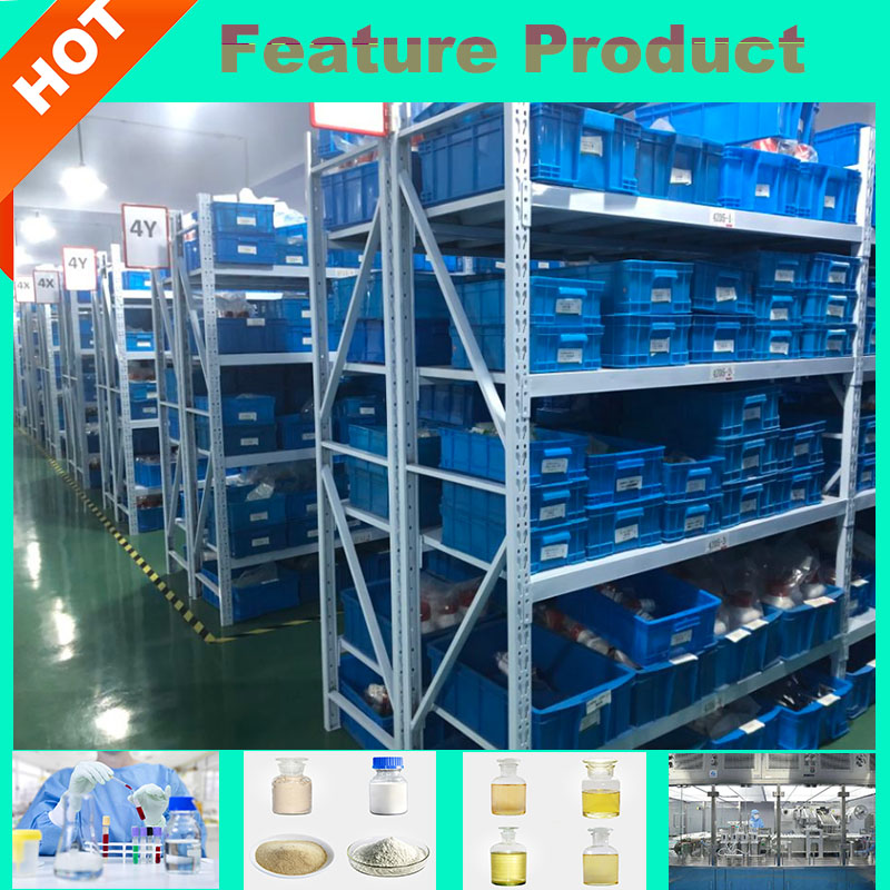 二甲胺基磺酰氯