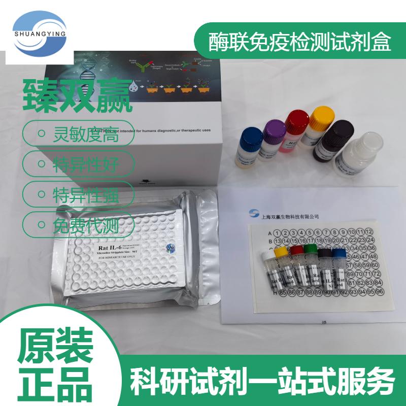 兔可溶性血栓调节蛋白(sTM)ELISA试剂盒