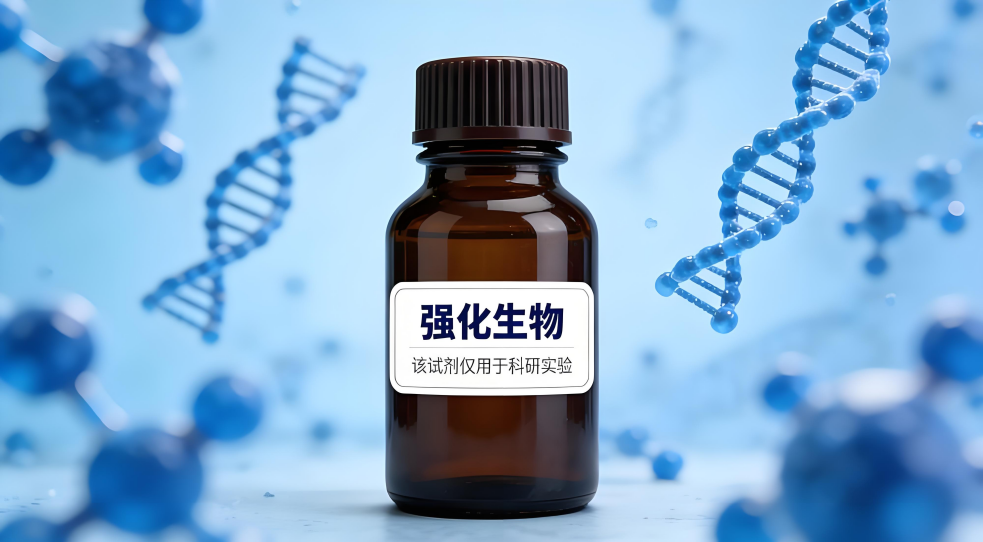 MitoSOX Red线粒体超氧阴离子红色荧光探针，1003197-00-9