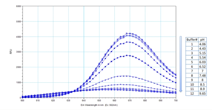 Protonex Red 670 琥珀酰亚胺酯，Protonex Red 670，NHS ester