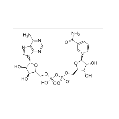 化妆品原料 NAD+99%
