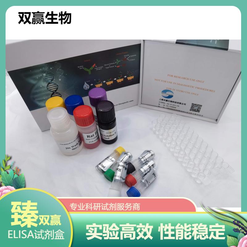兔子白介素4(IL-4)ELISA试剂盒