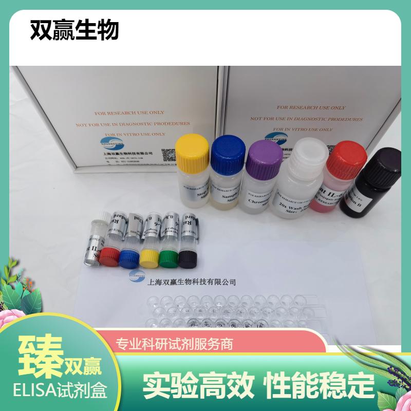 兔子白介素2(IL-2)ELISA试剂盒