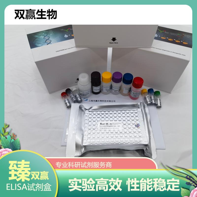兔子白介素2(IL-2)ELISA试剂盒