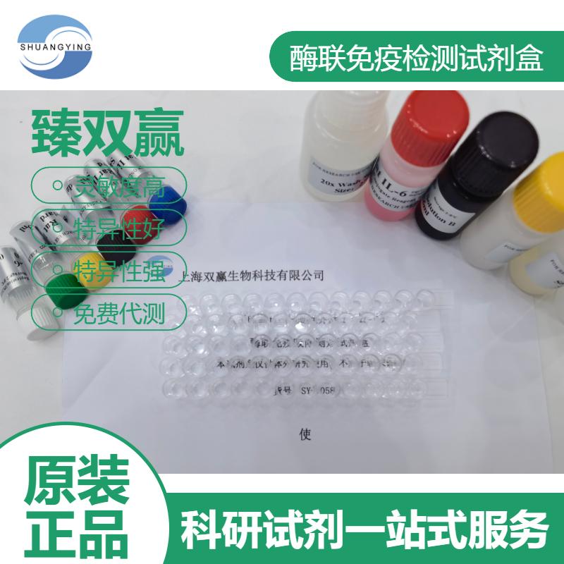 兔基质金属蛋白酶2/明胶酶A(MMP-2/Gelatinase A)ELISA试剂盒