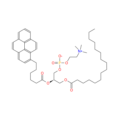(7R)-4-羟基-N,N,N-三甲基-10-氧代-7-[[1-氧代-6-(1-芘基)己基]氧基]-3,5,9-三氧杂-4-磷杂二十五烷-1-铵内盐 4-氧化物