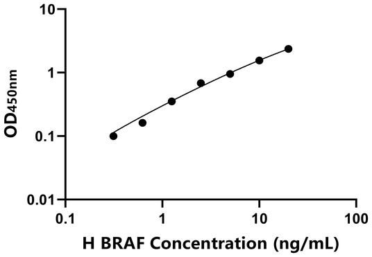 BRAF ELISA KIT / 人B-Raf原癌基因丝氨酸/苏氨酸蛋白激酶 ELISA试剂盒