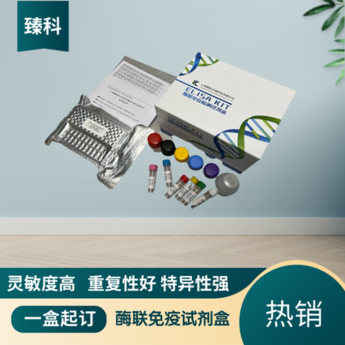 豚鼠白三烯B4(LTB4）ELISA试剂盒