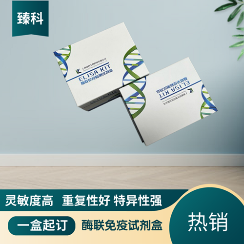 豚鼠肝细胞生长因子(HGF）ELISA试剂盒
