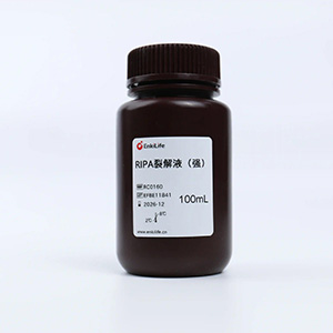 RIPA 裂解液（强）| EnkiLife恩玑生命