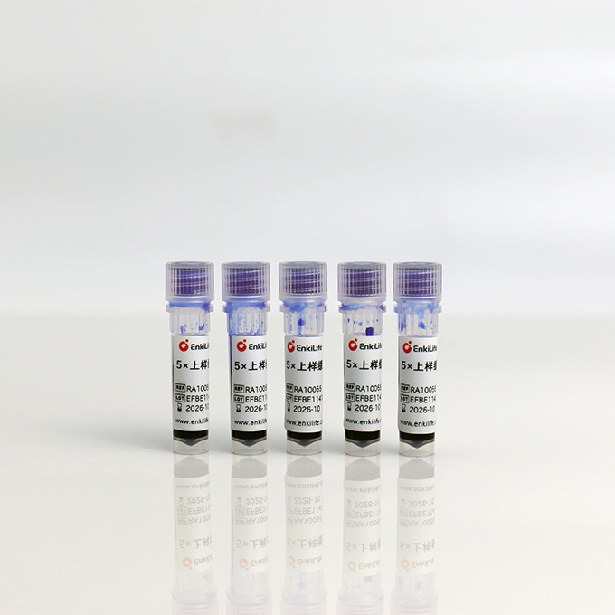 5×上样缓冲液 | EnkiLife恩玑生命