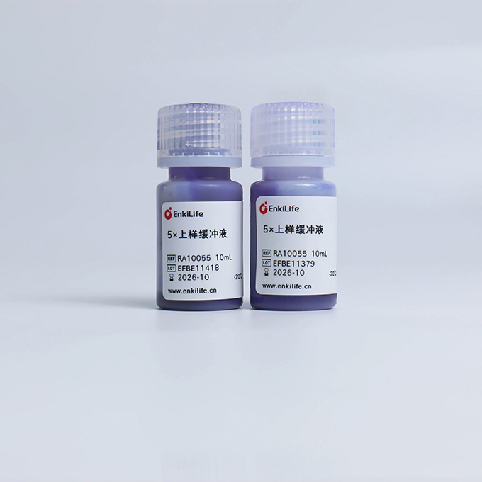 5×上样缓冲液 | EnkiLife恩玑生命