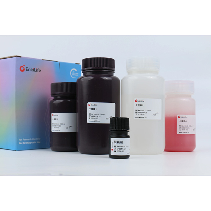 即凝广谱梯度制胶试剂盒 | EnkiLife恩玑生命