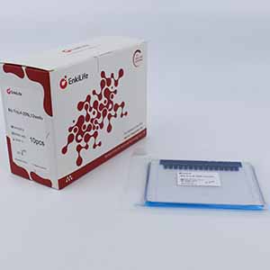 Bis-Tris,4-20%,12wells | EnkiLife恩玑生命