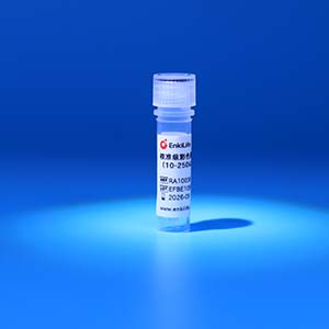 校准级彩色预染蛋白Marker（10-250kDa）| EnkiLife恩玑生命