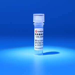 校准级彩色预染蛋白Marker（25-400kDa）| EnkiLife恩玑生命