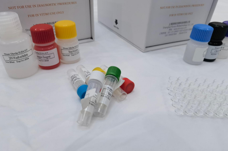 人成纤维细胞生长因子20(FGF-20)ELISA试剂盒