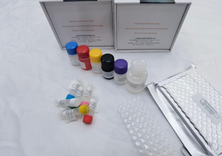 人成纤维细胞生长因子20(FGF-20)ELISA试剂盒