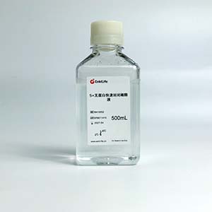 5×无蛋白快速封闭稀释液 | EnkiLife恩玑生命