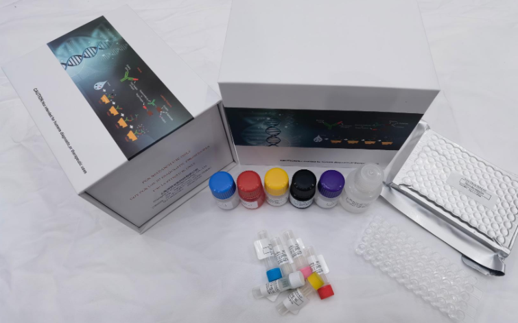 人含Mab21域蛋白1(MB21D1；CGAS)ELISA试剂盒