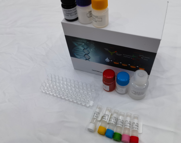 人运动因子相关蛋白1(MRP1)ELISA试剂盒