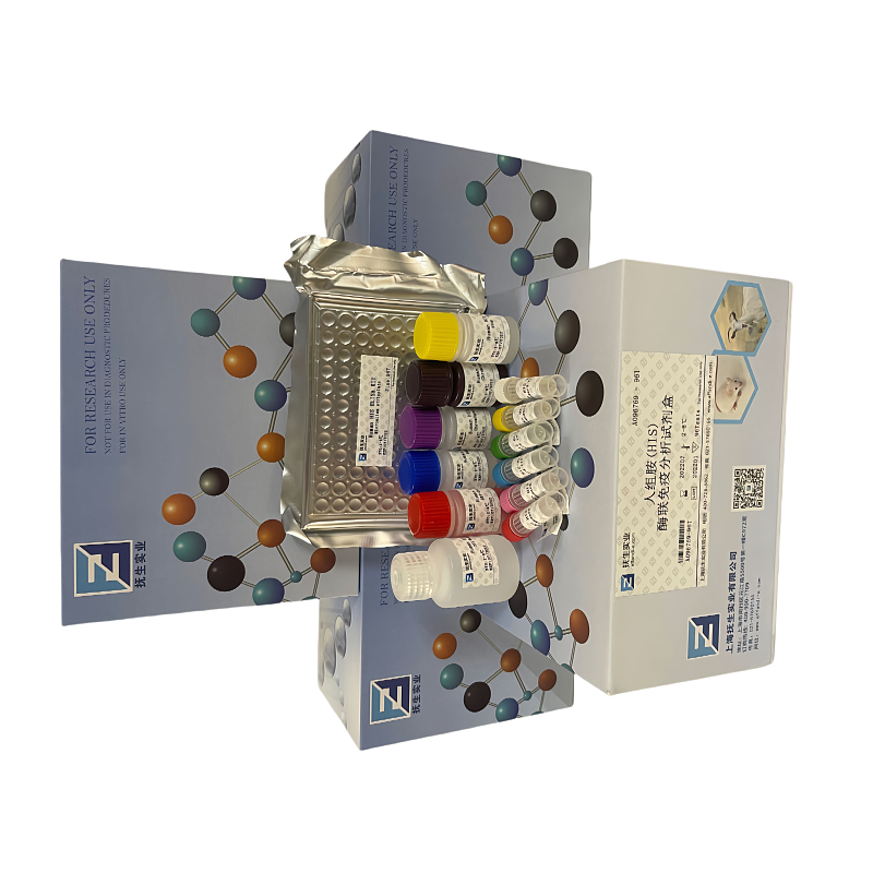 大鼠Angiopoeitin-2(ANG-2)elisa试剂盒