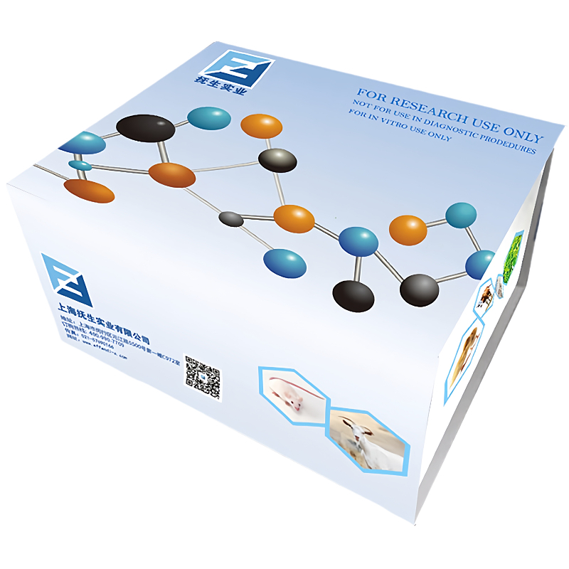 人Coagulation factor H(CFH)elisa试剂盒