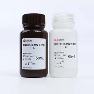 超敏ECL化学发光液 | EnkiLife恩玑生命